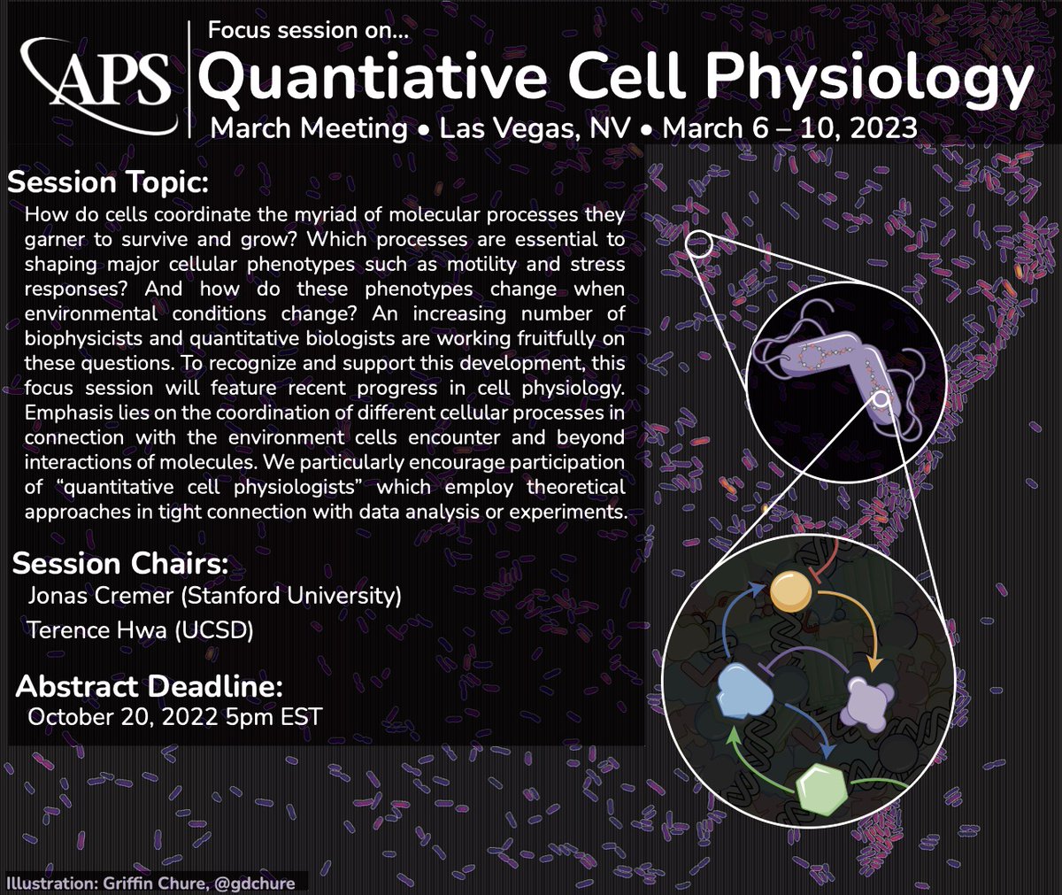 Excited to announce our focus session in quantitative cell physiology at the 2023 APS March meeting in Las Vegas, organized together with Terence Hwa. Contribute and submit your abstracts until October 20th.