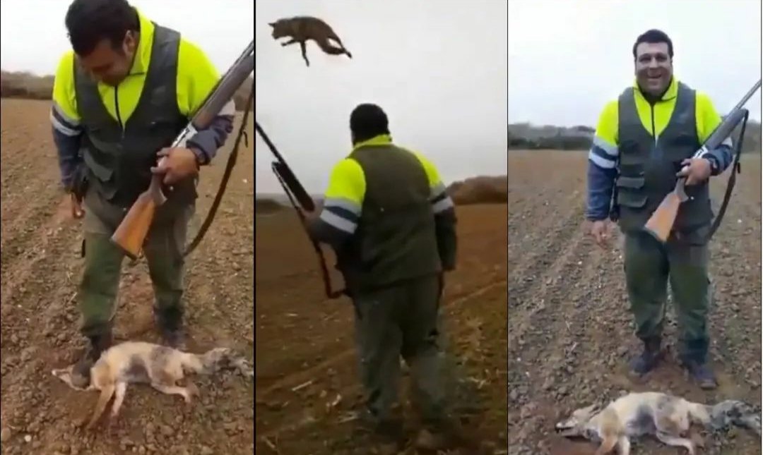 Esto es lo que quiere el PSOE proteger.
#PSOENiUnSoloPerroAtras <a href="/PSOE/">PSOE</a> <a href="/sanchezcastejon/">Pedro Sánchez</a> <a href="/gpscongreso/">PSOE Congreso</a>