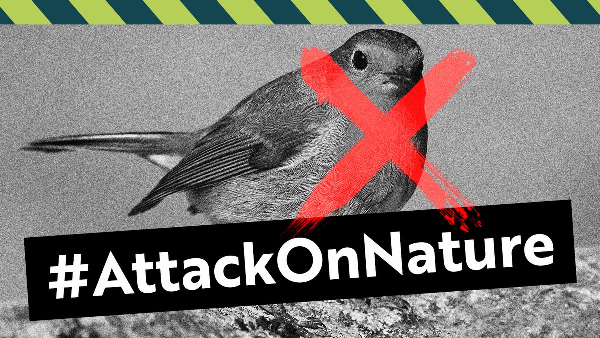 🚨😡 As of last week, the UK Government has launched an attack on nature. We are angry and we are mobilising against these proposed plans. Please read this thread 1/7 👇