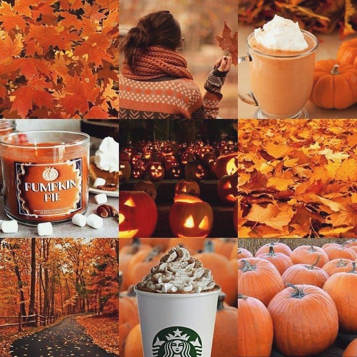 By this time next week, it will be October 🍁🍂🎃🍂🍁
#halloween