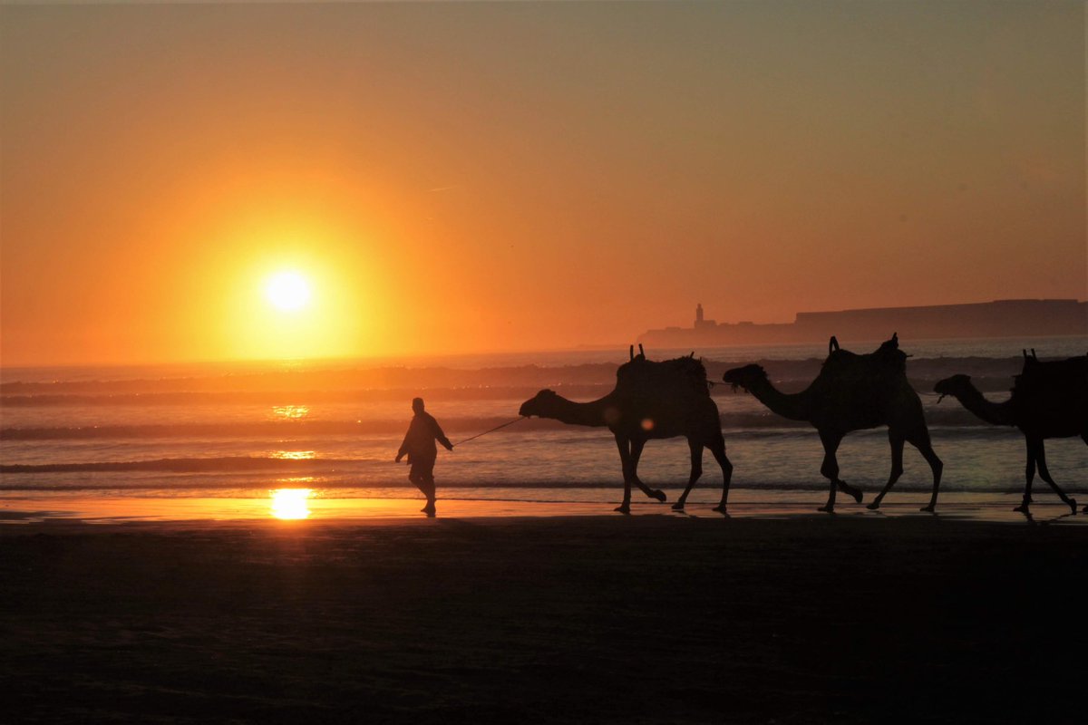 AReillyFailte's tweet photo. @BraydenCreation #Essaouira #Morocco 🧡📸 https://t.co/abxVfGncKX