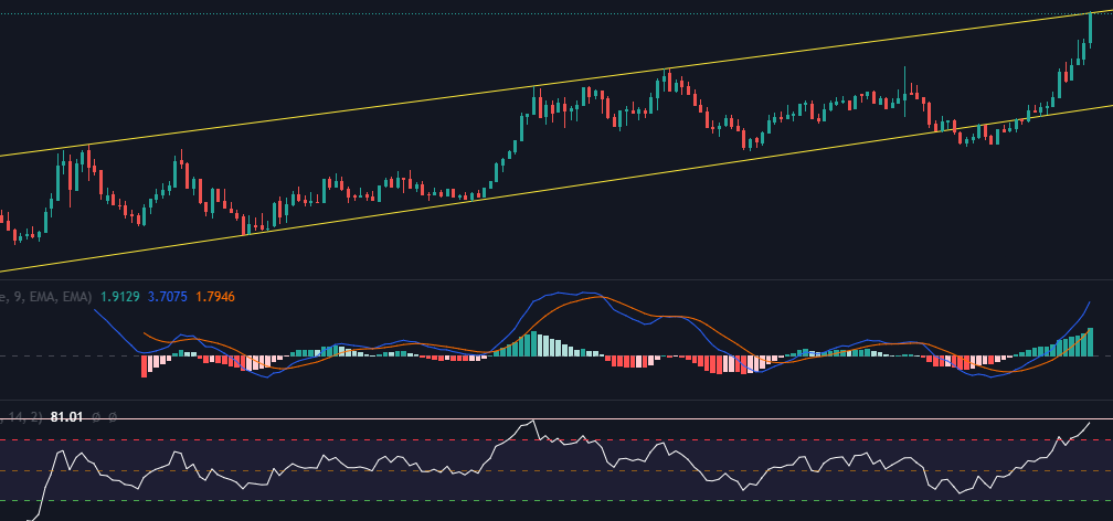 its time to rejection for $usd