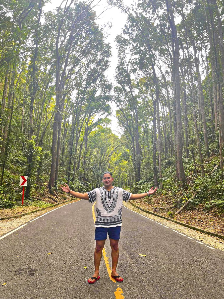 jetjet2_'s tweet image. tara gala! @
#manmadeforest #bohol