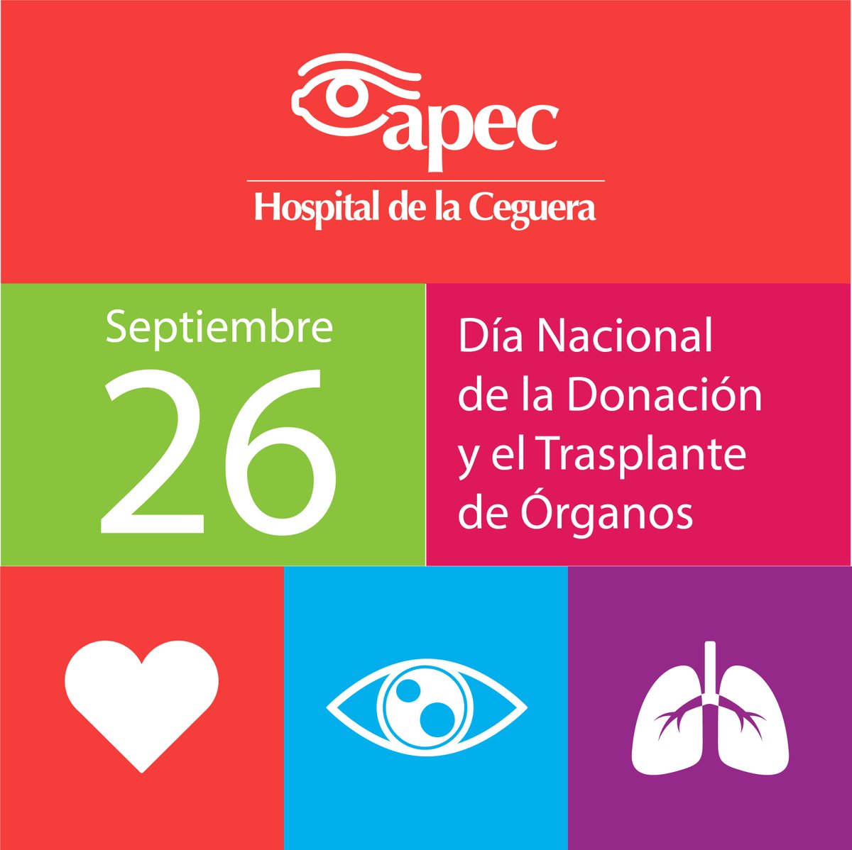 En México cerca de 19 mil personas se encuentran en espera de recibir un trasplante. El tejido con mayor lista de espera es la córnea y el órgano que más personas esperan recibir, es el riñón. #SumaVidasDonaÓrganos #donaciondeorganos #trasplantes