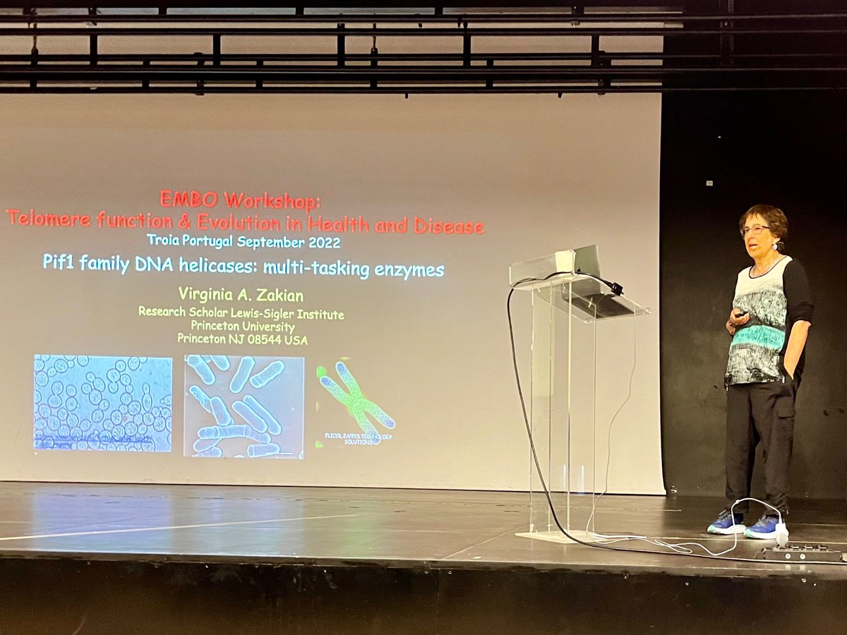 Ginger Zakian, our first keynote speaker, and the role of Pif1 - a DNA helicase regulating telomere length.