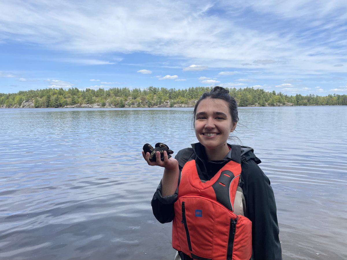 yarynakudla's tweet photo. My #research looks at the risk of microplastics on #unionid freshwater mussels . Species are distributed across Ontario but we know little about how tiny pieces of plastic can impact their way of life #CEWtweetyourthesis (1/3) https://t.co/Si12mUirIU