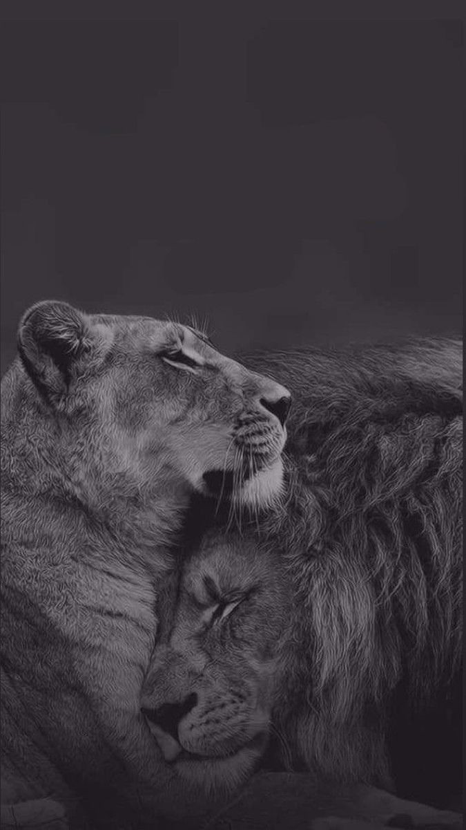 Wallpaper HD (@sokakbomonti) on Twitter photo 