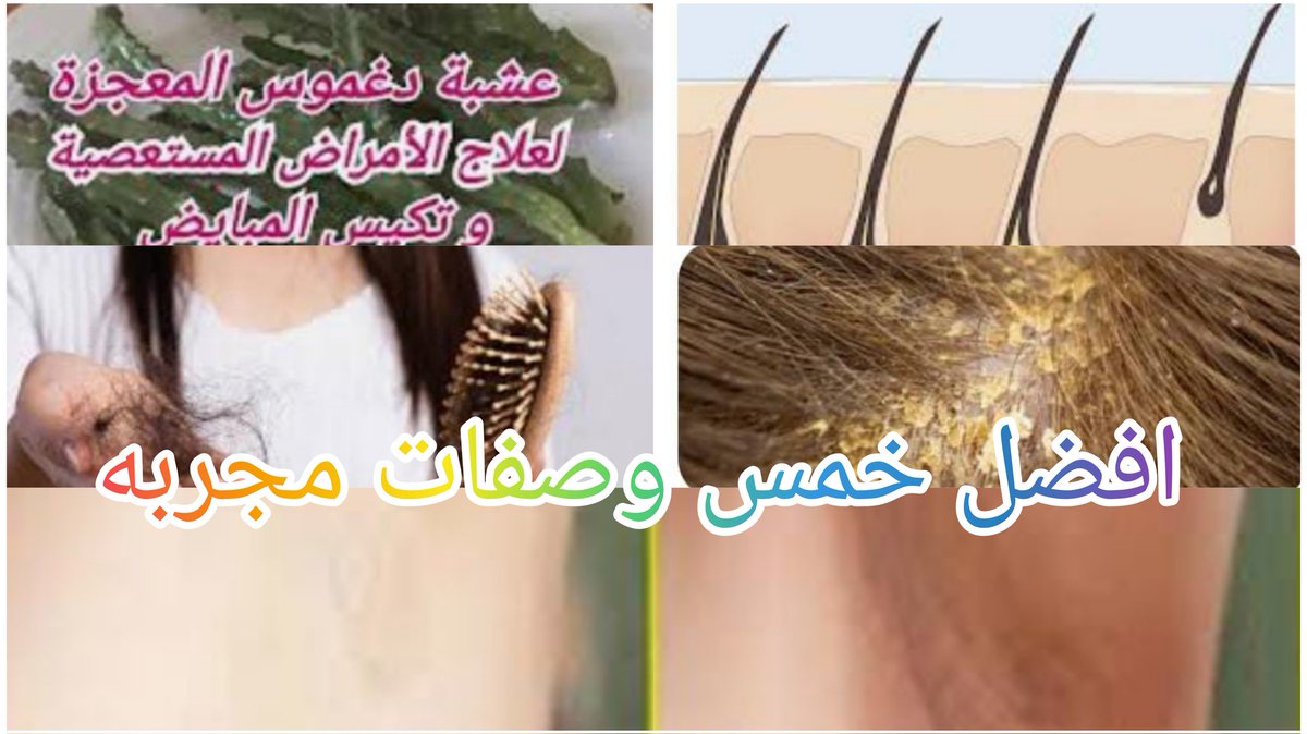 #افضل_خمس_فيديوهات_يوتيوب_علي_الاطلاق
