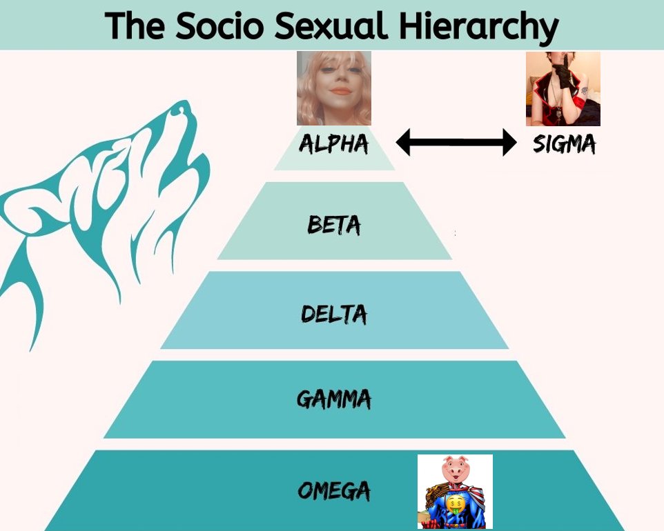 My apologies to @findomanarchist and @findom_doctor.

I realize calling myself a 'beta' wallet was giving myself far too much credit.

Findom I Mistress I Goddess I Beta