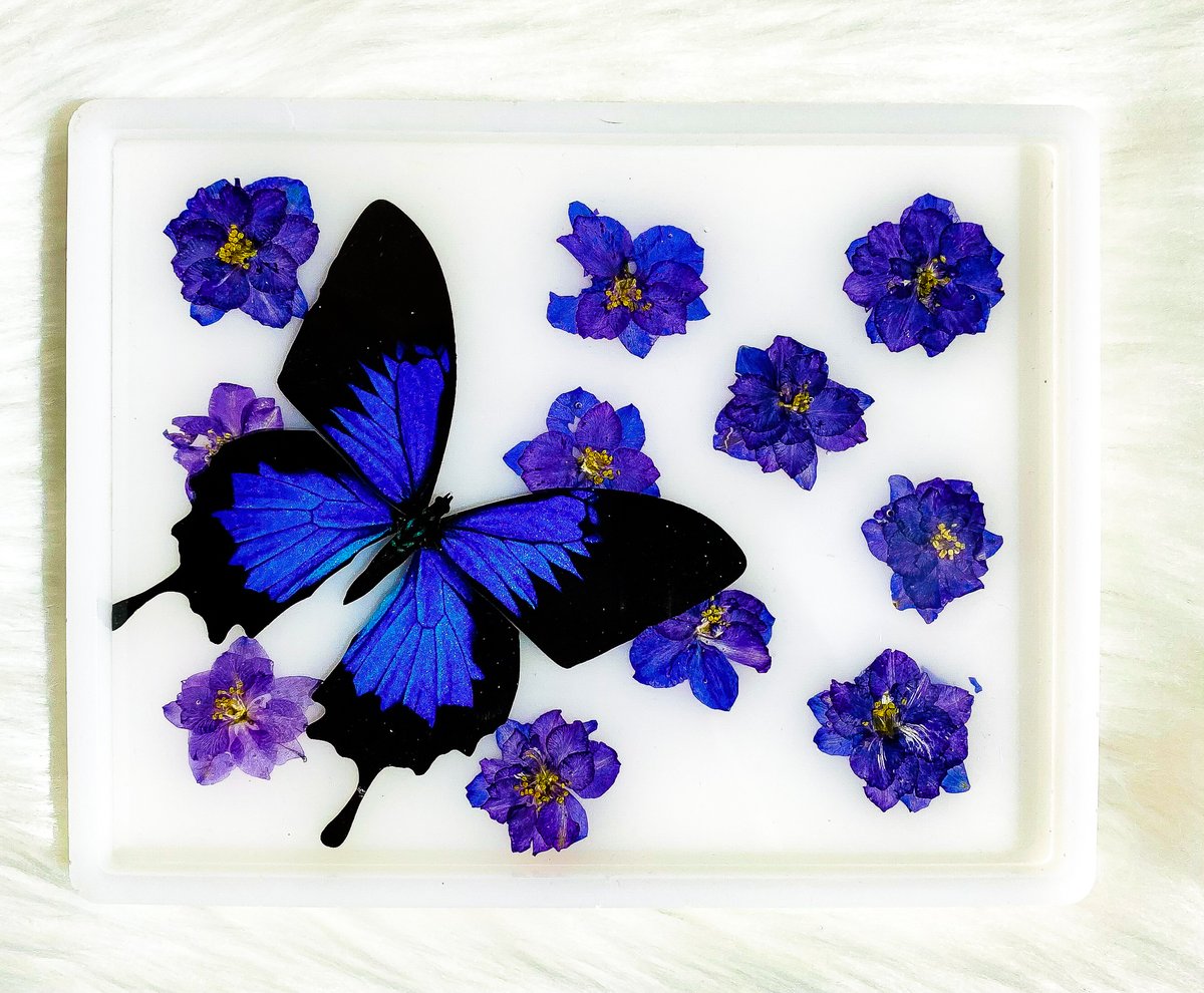 Milky Blue Emperor Butterfly Rolling Tray