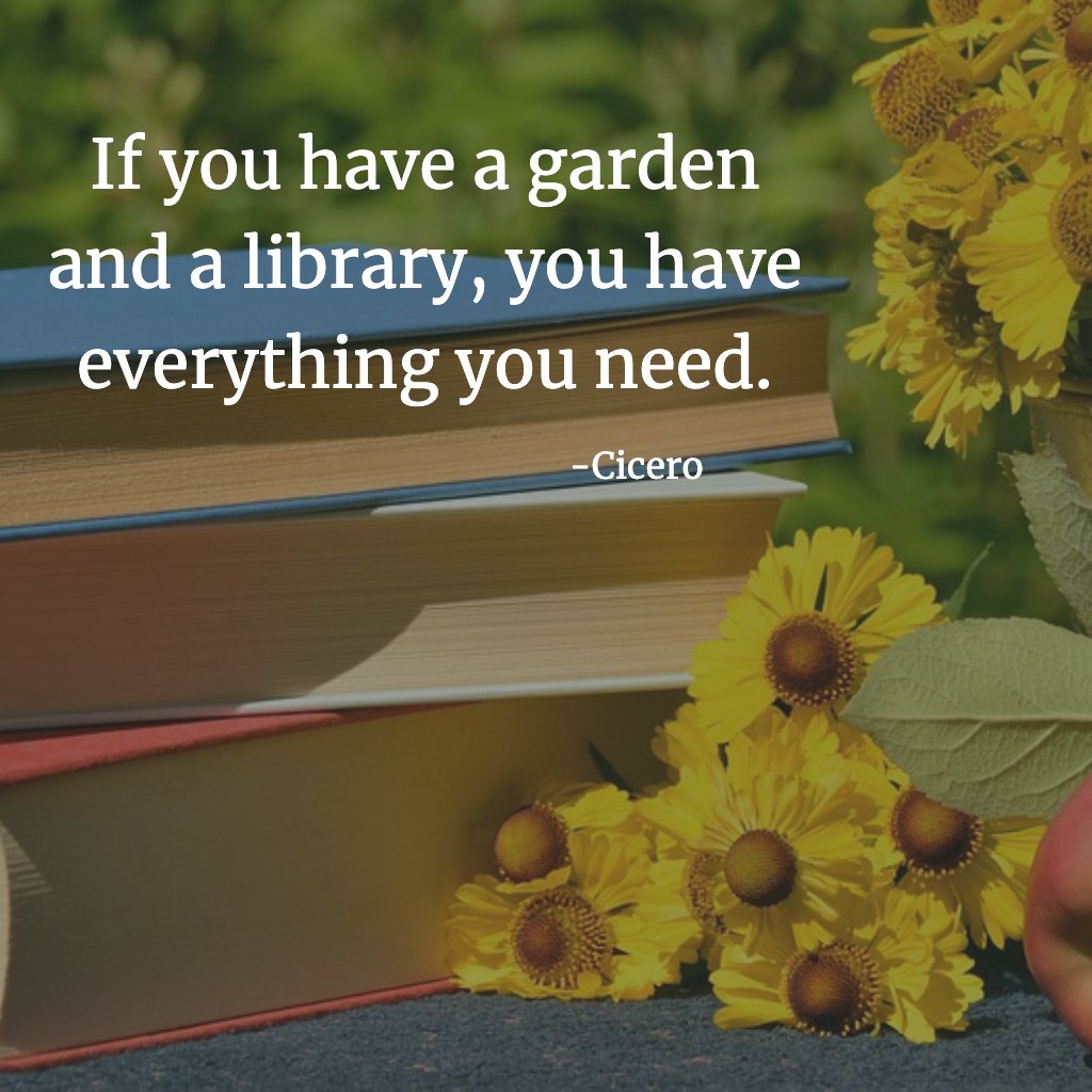 #entrepreneurship reality check. Did you do something fun this weekend?

There is no uptime w/o downtime.

(Shout-out to public libraries and #community gardens. I sure hope you have both near you.)

PS - tomatoes are off the hook and started a new Bryce Courtney book!