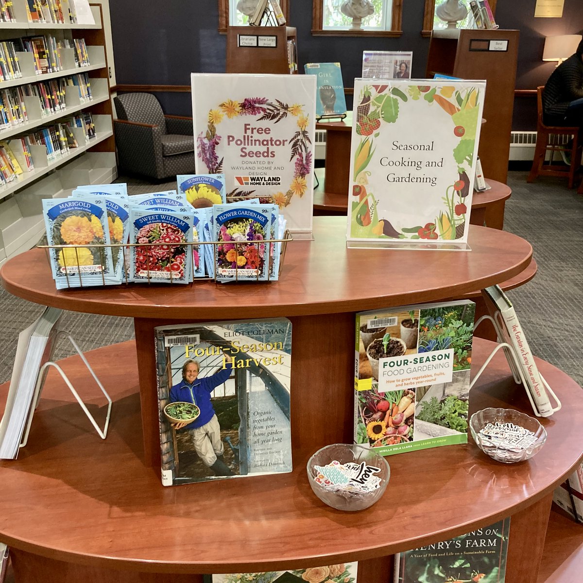 GoodnowLibrary's tweet photo. Stop by our new book area to pick up pollinator-friendly flower seeds for your garden to increase the survival of native pollinator species in Sudbury! While you're here, browse our Climate Prep Week book displays or enter into our FREE raffle #climateprepweek https://t.co/9QDAwn3i6V