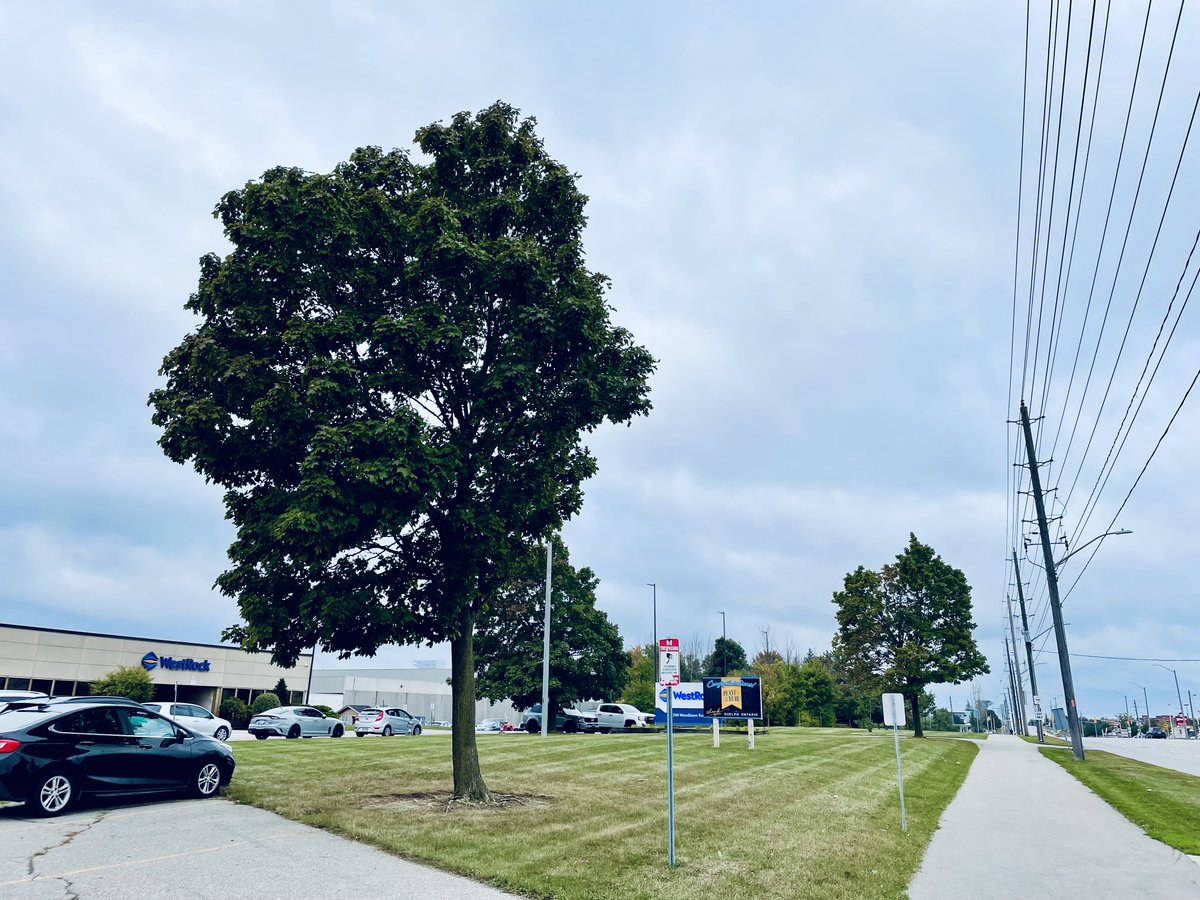 nuimageinc's tweet photo. Lawns are rebounding from the summer drought.  The stripes are visible from Woodlawn Road again. https://t.co/qo07gHAWZh