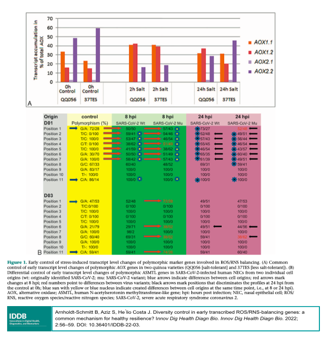 EditorsIddb's tweet photo. New #IDDB brief report: "Diversity Control in Early Transcribed ROS/RNS-balancing Genes: A Common Mechanism for Healthy Resilience?" by Brigit Arnholdt-Schmitt, Shahid Aziz, and Jose Helio Costa 
https://t.co/QzrwN21kJg
#biomarkers #genetics
@Shahid_cl @ZKozlakidis https://t.co/rJl2HU8aDJ