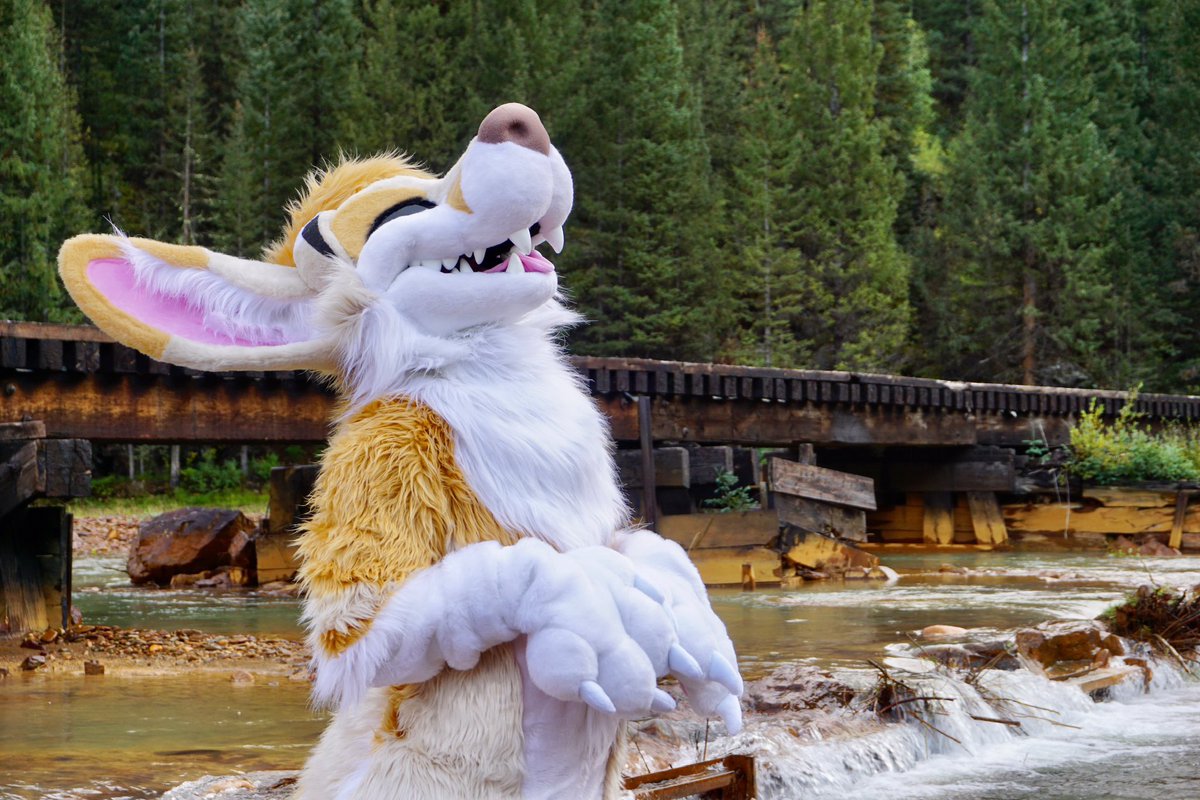 Powering up for a maximum power scree this #MoreFurLessMonday! I hope you have your hearing protection ready! 

📸: <a href="/ApolloFolf/">｡° ⊹ Apollo ˚⋆⊹</a> 
✂️: @morefurless