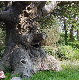 CarlsBodyguard's tweet photo. the wise tree is real https://t.co/dHUmXuKGfX