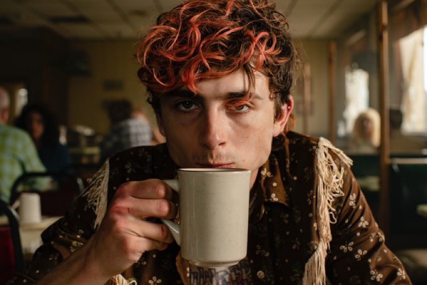 FilmUpdates's tweet photo. Timothée Chalamet in Luca Guadagnino’s ‘Bones and All’ https://t.co/rm4TDV4Wfm