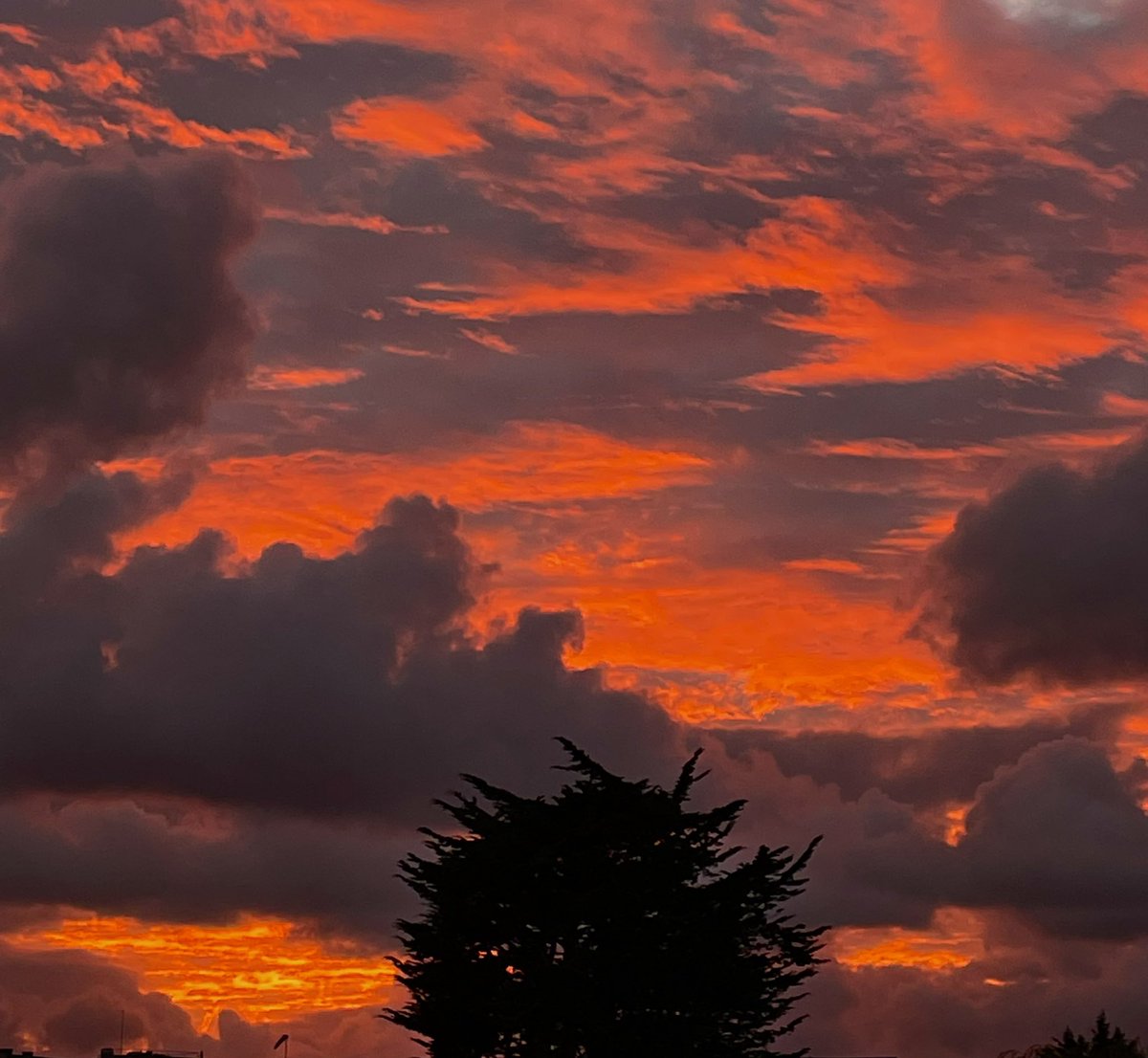 Germain50700's tweet photo. Ciel en feu @VilleCherbourg #cherbourgencotentin #cieldefeu #feudeciel #cotentin #cotentinunique 🔥 https://t.co/sBcF5fuYeW