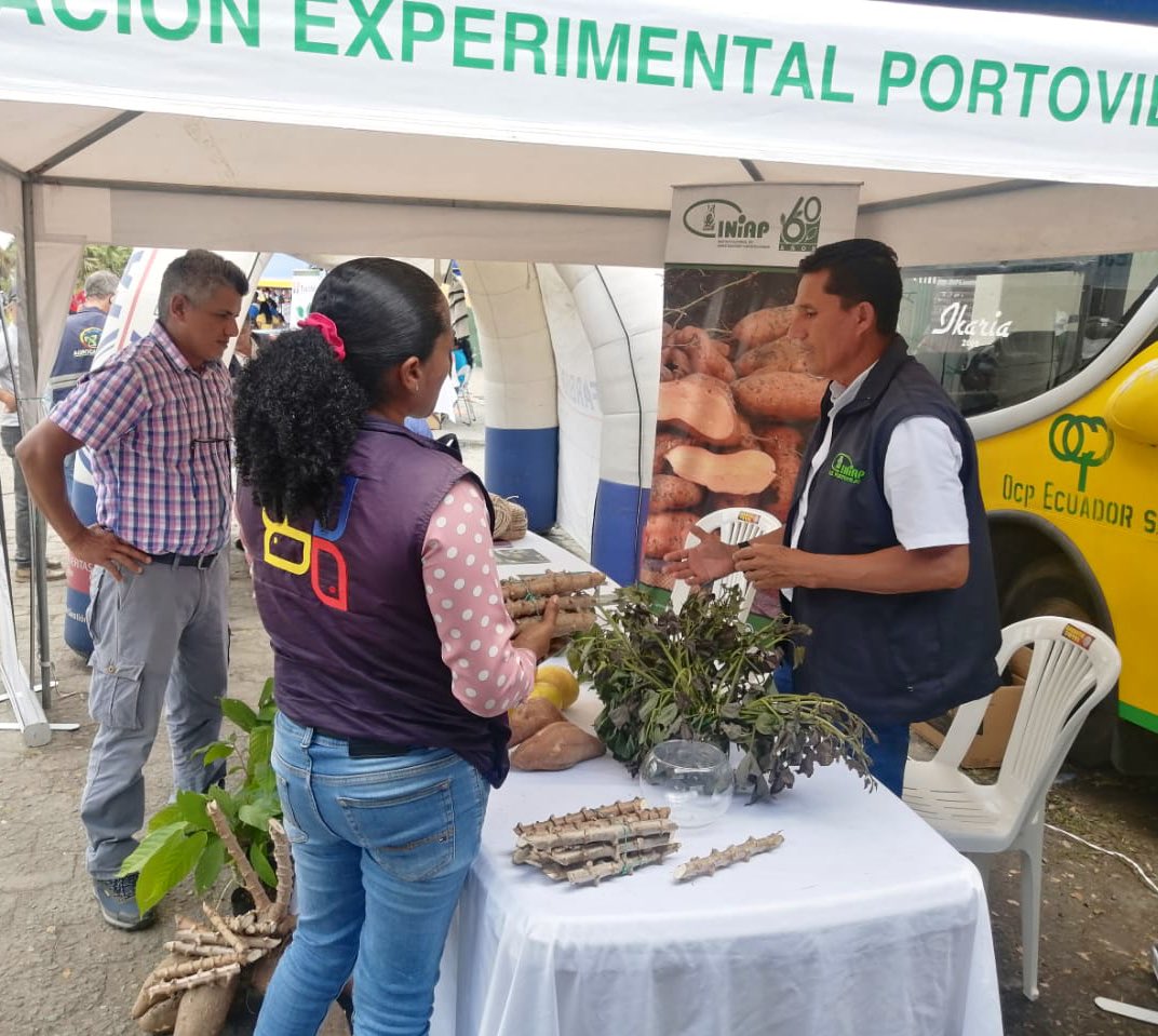 INIAPECUADOR's tweet photo. #Esmeraldas | Presentamos oferta tecnológica en la VIII Feria de Ciencia, Tecnología, Producción, Innovación y Emprendimiento en el @ITSQuininde. 

🎯El objetivo es brindar recomendaciones para un mejor manejo de cultivos de maíz, cacao, yuca, camote, cítricos, maracuyá y abacá. https://t.co/RqGPTVM7Ml