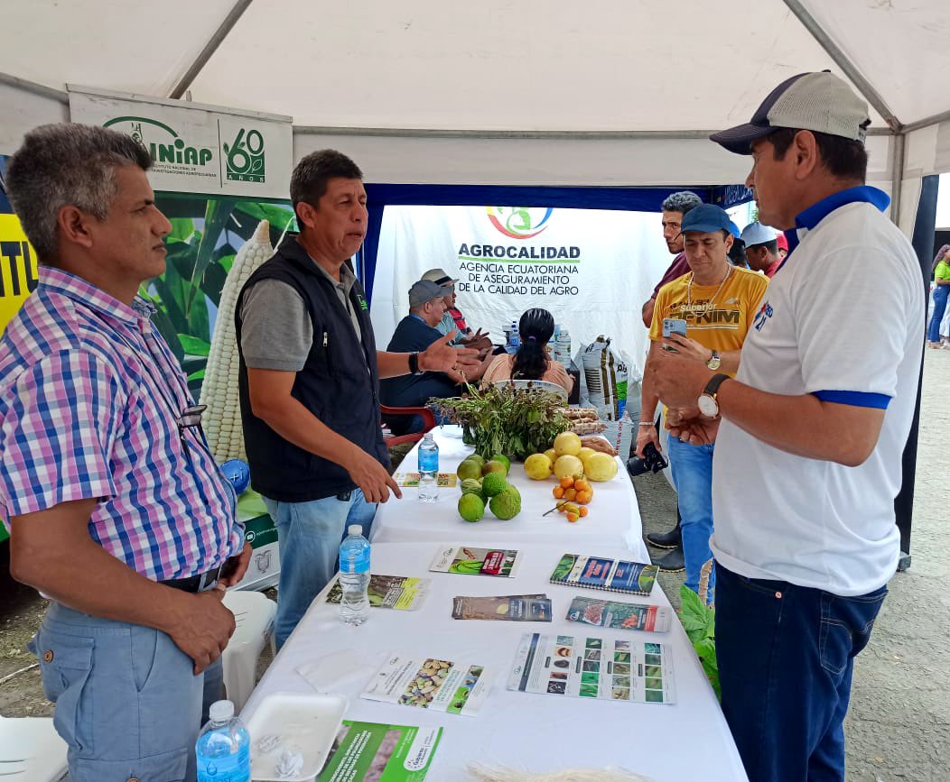 INIAPECUADOR's tweet photo. #Esmeraldas | Presentamos oferta tecnológica en la VIII Feria de Ciencia, Tecnología, Producción, Innovación y Emprendimiento en el @ITSQuininde. 

🎯El objetivo es brindar recomendaciones para un mejor manejo de cultivos de maíz, cacao, yuca, camote, cítricos, maracuyá y abacá. https://t.co/RqGPTVM7Ml