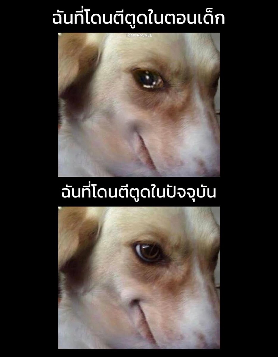 เดย์ ,, tweet media
