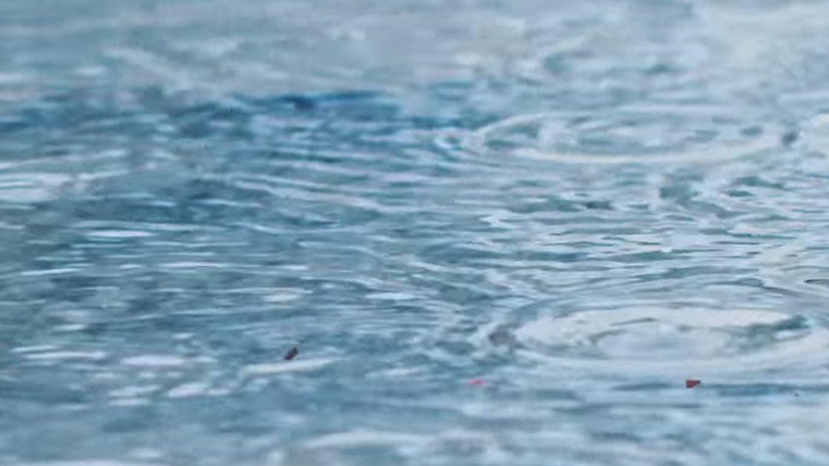 utopianx8955's tweet photo. 🌸🦊 

- (os) Singing in the rain #lilfoxnspring 
- bomin x joochan

☔️ https://t.co/rY5SBpIgnz

( #bomchan #บมชาน 
#gncdfiction #ฟิคโกลชา #ฟิคกดช #GOLDENCHILD  ) https://t.co/JWvUbjp1TF