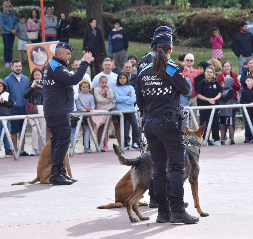 Alcobendas_Poli's tweet photo. Nuestra Unidad Canina participó en la Jornada de bien estar animal de #Alcobendas.Con una bonita exhibición y con los talleres de educación y obediencia, nuestros compañeros mostraron su trabajo a todos los vecinos fomentando, sobre todo,el respeto a los ánimales.
#SomosParteDeTi https://t.co/g4gNQYuAib