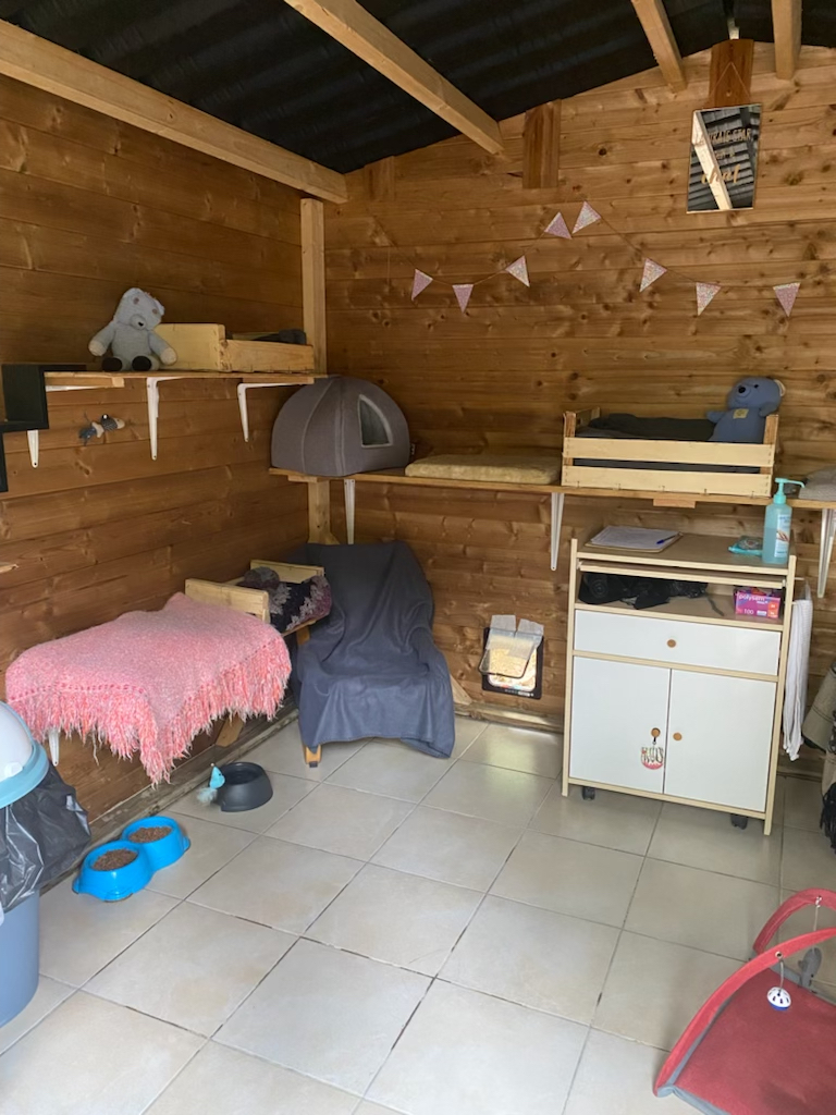 onevoiceanimal's tweet photo. Aujourd'hui, le Chatipi de Laroque de Fa (11) a été inauguré. La ville, l'#APAHC et One Voice se sont unis pour offrir un peu de quiétude aux chats errants de la commune. C'est le 5ème Chatipi qui voit le jour dans l'Aude. #UrgenceErranceFéline https://t.co/cBJ26U2pCH
