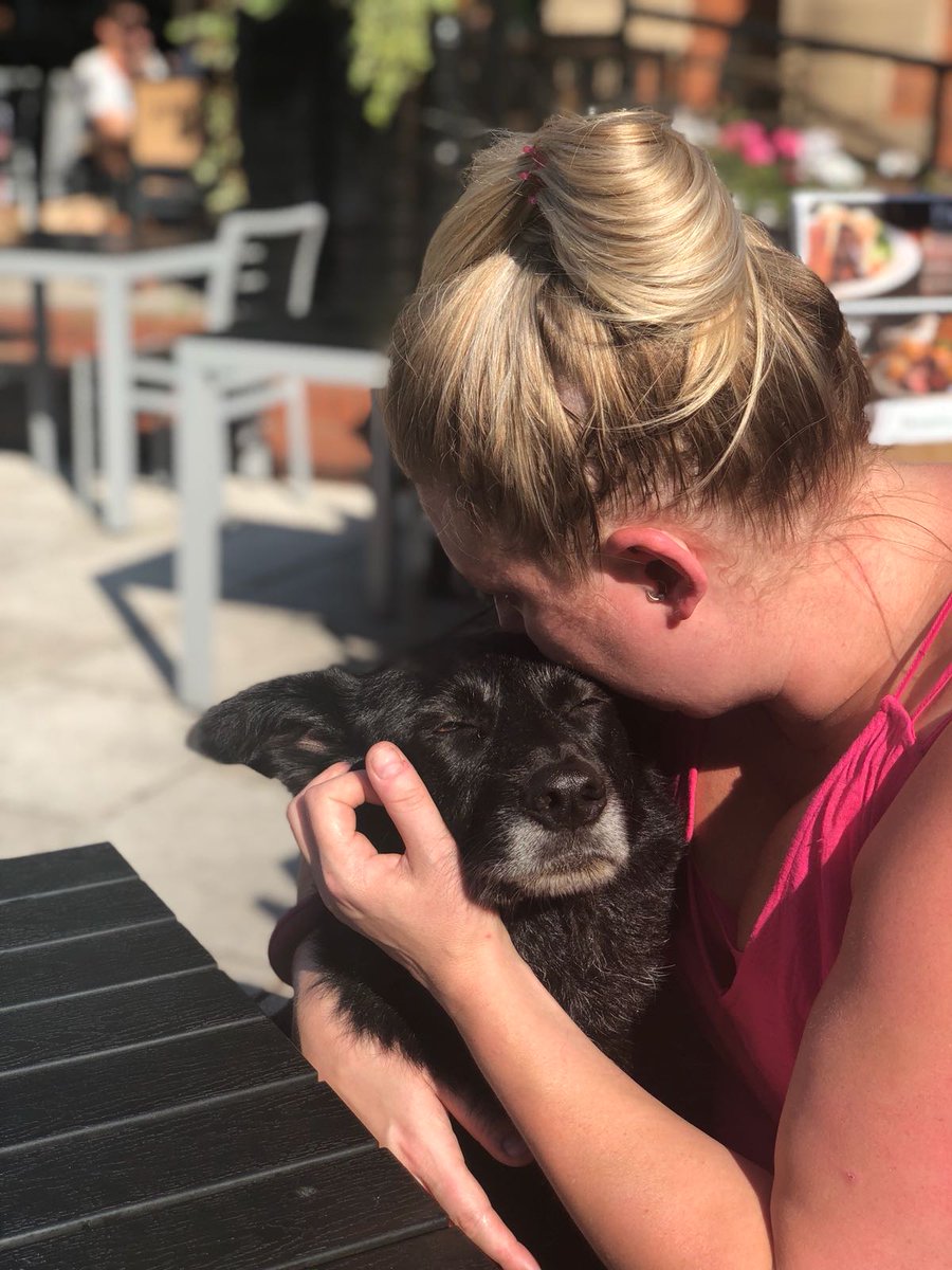 Rileythedog's tweet photo. Remembering cuddles in the sunshine with the best girl. Miss you baby bear. https://t.co/8iZxBXZcnO