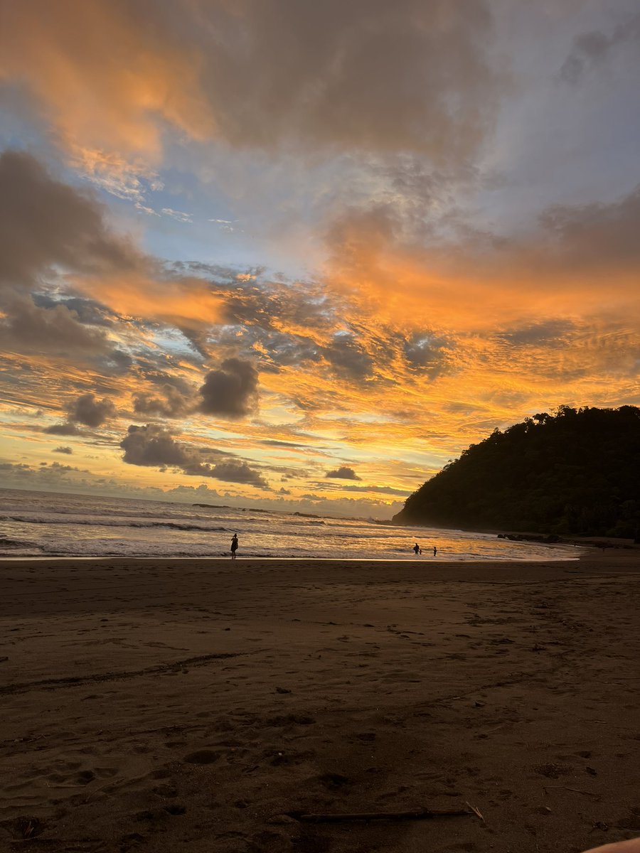 gooser2003's tweet photo. Costa Rica Vaca https://t.co/OFWZne6VvB