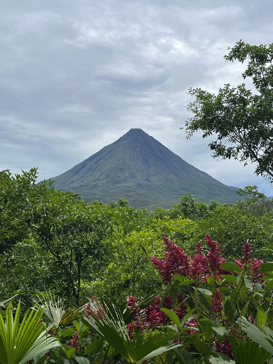 gooser2003's tweet photo. Costa Rica Vaca https://t.co/OFWZne6VvB