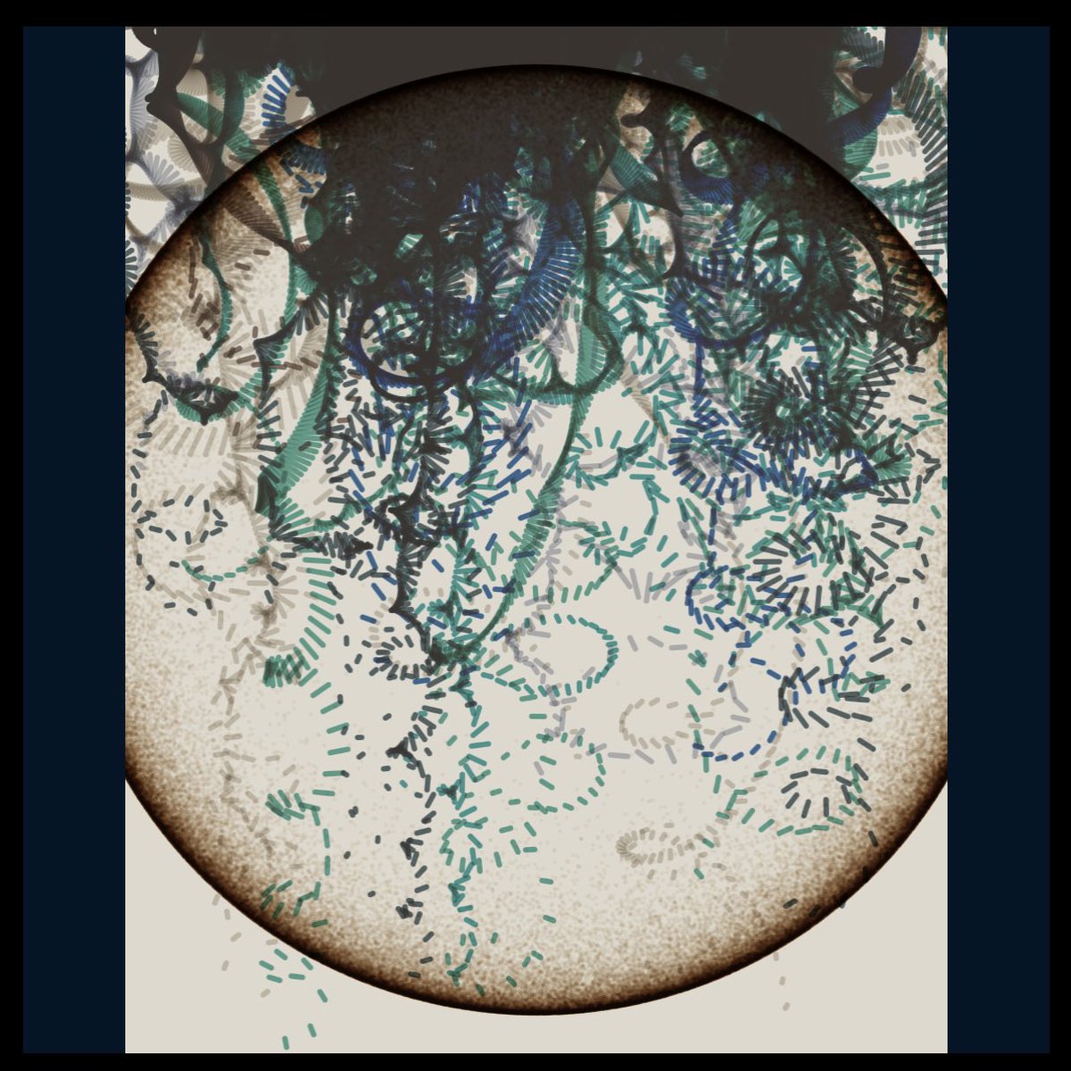 arbiter.lens tweet media