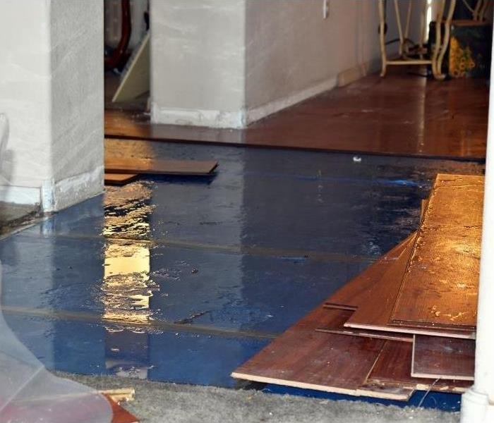 SERVPROEPhoenix's tweet photo. Handling Water Damage in Your House. Read now! https://t.co/yOaCxsI4cU #SERVPRO #SERVPROofEastPhoenix #restorationservices #damageremediation https://t.co/ii14G3FjWv