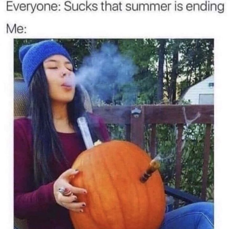 thevirgobitches's tweet photo. We are really gonna miss summer but there’s just nothing like those fall activities 😂 

#thevirgobitches #halloween #october #mondaymeme #meme #stoner https://t.co/D3ZODg6kaN