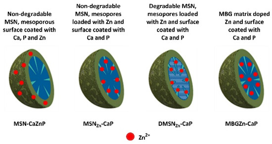 Sharing our @Boccaccini_Lab @UniFAU @DeptWW_FAU new #OpenAccess paper @Nano_MDPI Zn-loaded and CaP-coated silica #nanoparticles effectively promote osteogenesis in hMSC, led by @RijtSabine 🇳🇱and with a great team @zhengkaishot mdpi.com/1793400