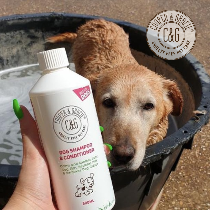 CooperAndGracie's tweet photo. Our best-selling Dog Shampoo &amp; Conditioner. 🐶⁠
⁠
Our customers and their dogs love it. 😍⁠
⁠
100% Natural and cruelty-free products skillfully handmade in UK. 🐶🌱⁠
⁠
Thank you so much for supporting Cooper and Gracie!⁠ https://t.co/EXX2XI3JV2