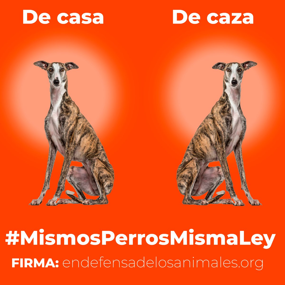 Tú lo ves? Pues el PSOE NO 
#PSOENiUnSoloPerroAtras <a href="/PSOE/">PSOE</a> <a href="/sanchezcastejon/">Pedro Sánchez</a> <a href="/gpscongreso/">PSOE Congreso</a>