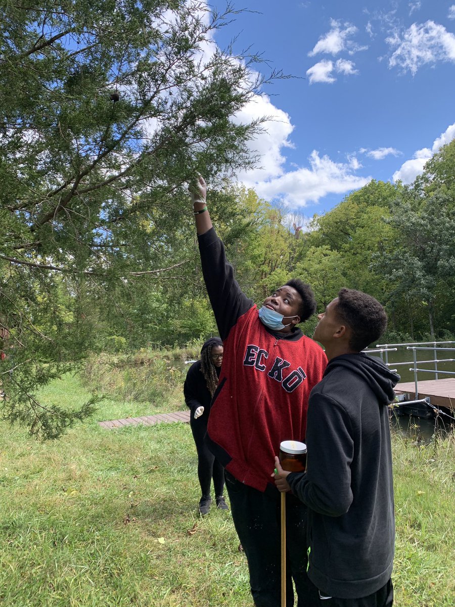 indiana_mott's tweet photo. #MottENV outside collecting insects for their insect collections! #PikeProud https://t.co/NDmPfPBjoI