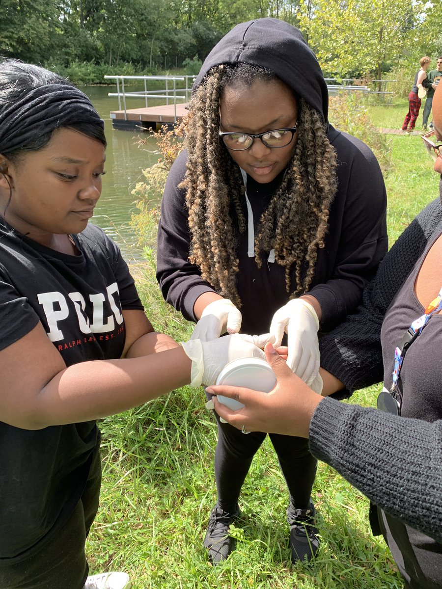 indiana_mott's tweet photo. #MottENV outside collecting insects for their insect collections! #PikeProud https://t.co/NDmPfPBjoI