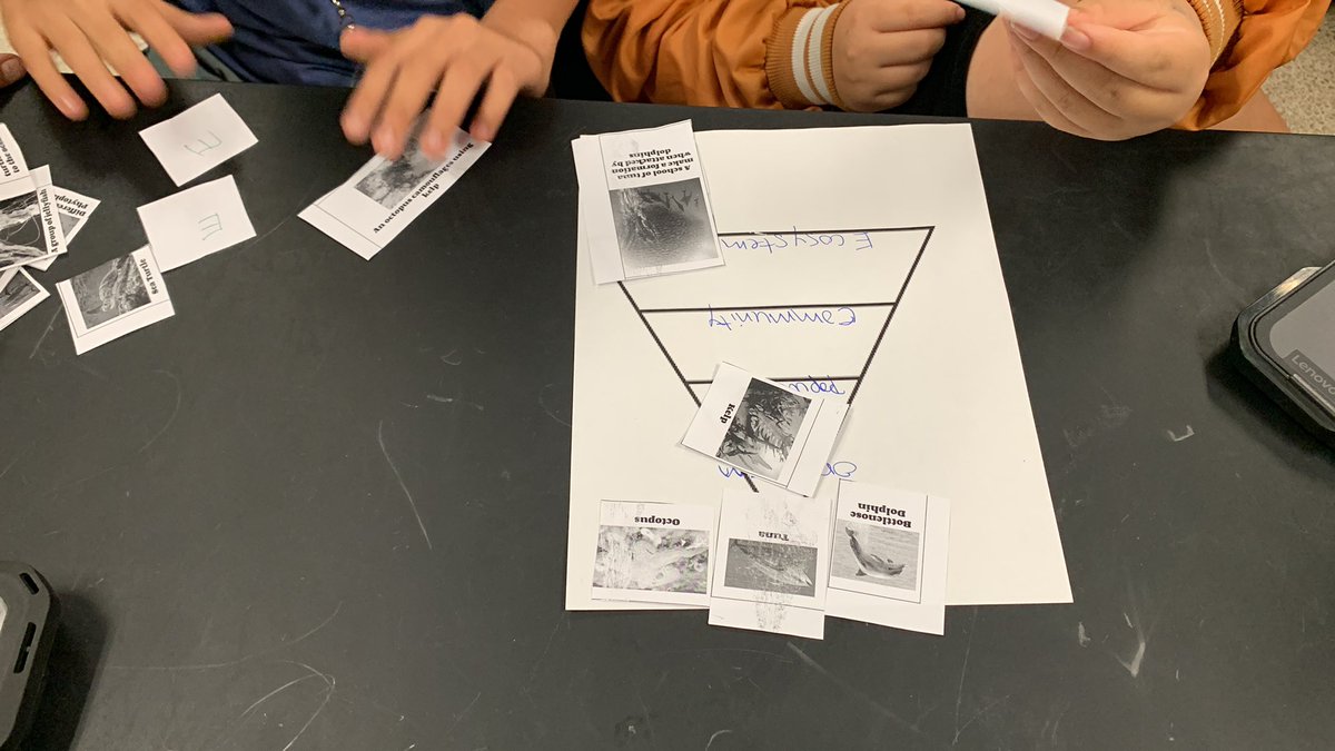 ksblain's tweet photo. Ms. Alcaraz’s 6th grade science class sorting pictures into the correct level of organization @KleinIntKISD #soaringinscience https://t.co/Lp3Jm3fOGh