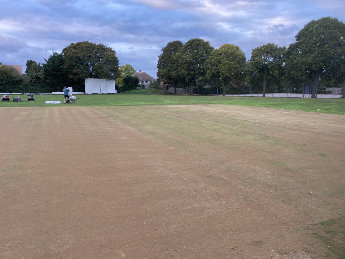 Jamie Foyster tweet media