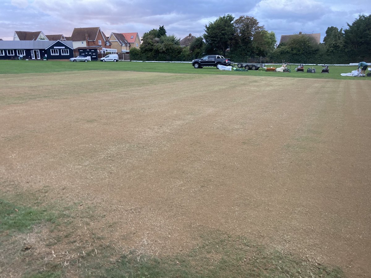 Jamie Foyster tweet media