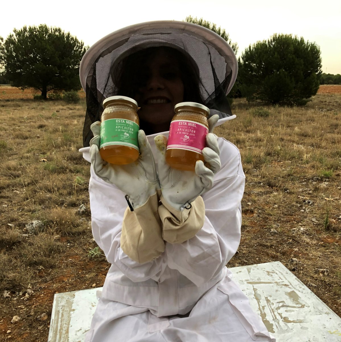 ¿Quién es el jefe? La Marca de los consumidores tweet media