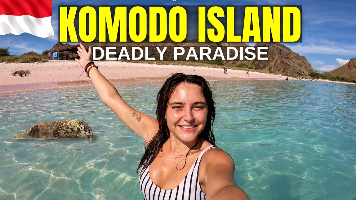 KOMODO ISLAND TOUR - IS THE DANGER WORTH ...
 
alojapan.com/573581/komodo-…
 
#FloresIndonesia #FloresIndonesia2022 #FloresIndonesiaVlog