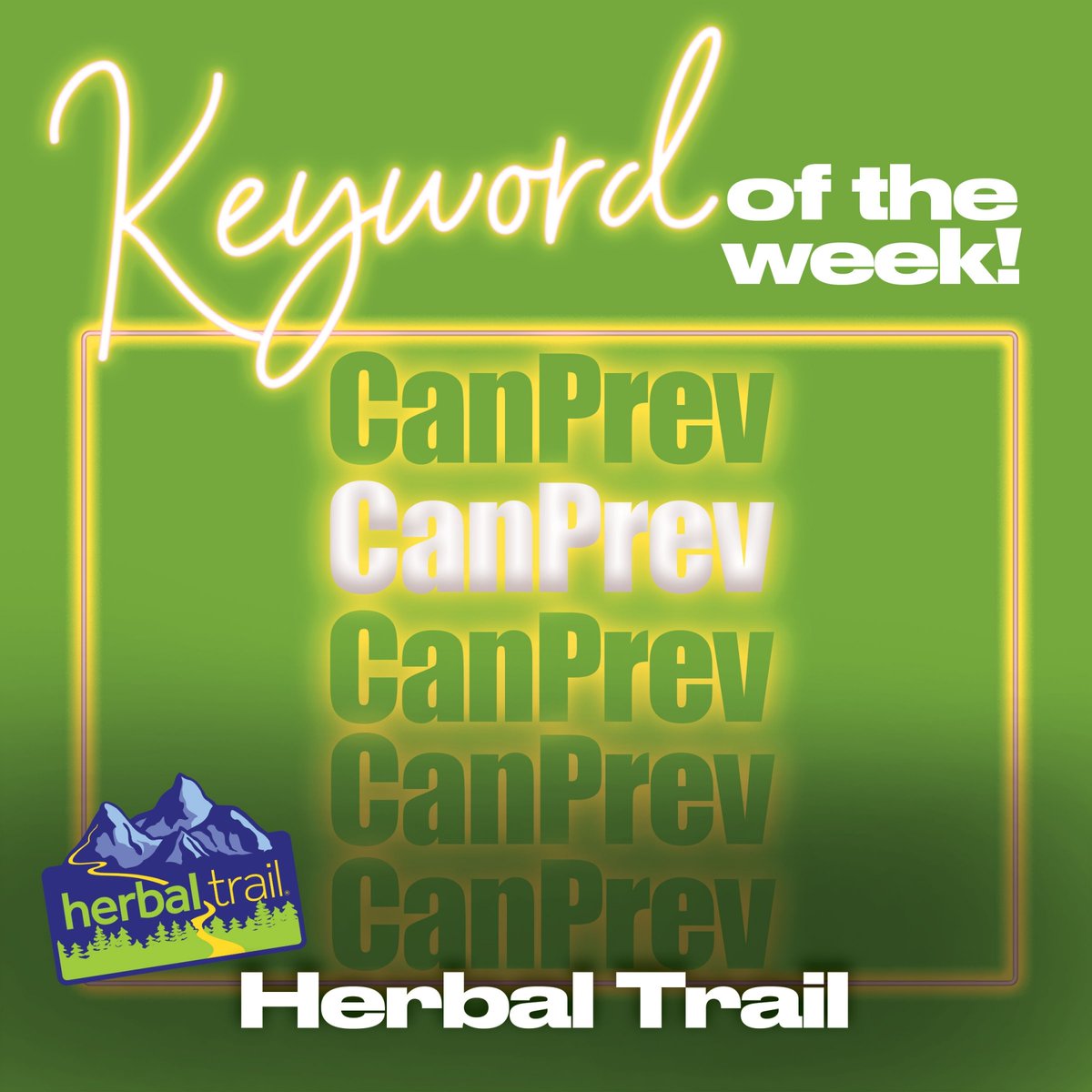 shopstalbert tweet media