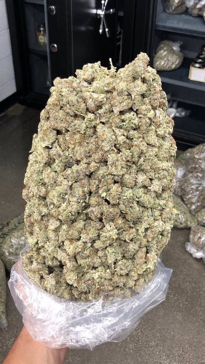 We got quality buds always