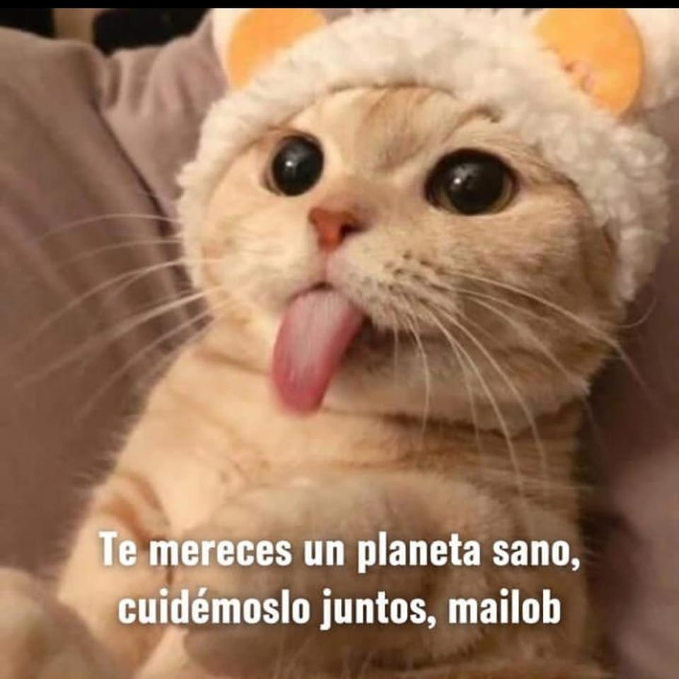 madrepachamama's tweet photo. https://t.co/3EwXs5gGgn