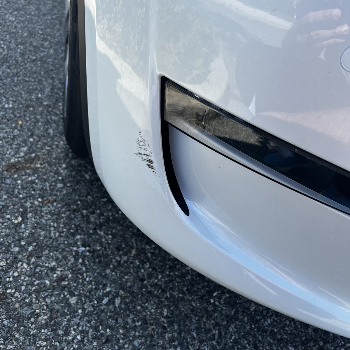 luckygooon's tweet photo. When you park your car as safe as you can in lots but other people are just careless douchebags! #teslababy #tesla #modelY https://t.co/3Jt4PXTek5