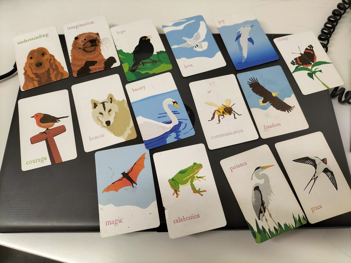 donnaadamsx's tweet image. This morning our full team @LullabyLaneMiln transitioned into our day with a kitbag session. 

It was wonderful to hear everyone share how they were feeling. 

#StartWithTheAdults
#AttachmentLedPractice 

@ChrisKeane0910