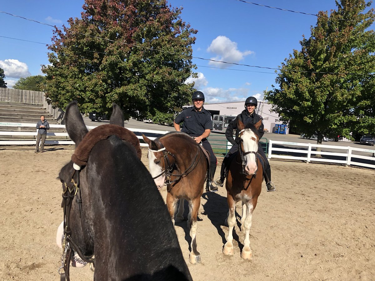 TPSMounted's tweet photo. Queen and his buddies Picard and Northrup made it to Ohio. Their week of training starts today. Good luck! #napec #PHQueen #PHPicard #PHNorthrup #mountedfamily #trainhard #learningfromoneanother https://t.co/7BjvRgCZsf